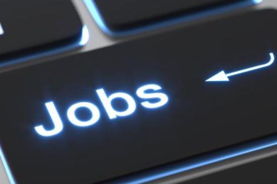 VOLUNTEERING A COLCHESTER